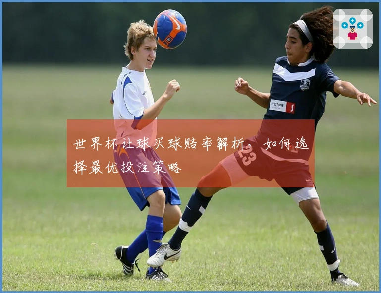 世界杯让球买球赔率解析，如何选择最优投注策略