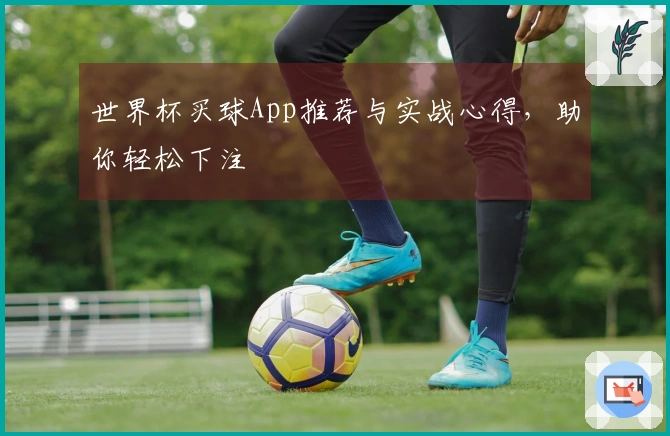 世界杯买球App推荐与实战心得，助你轻松下注