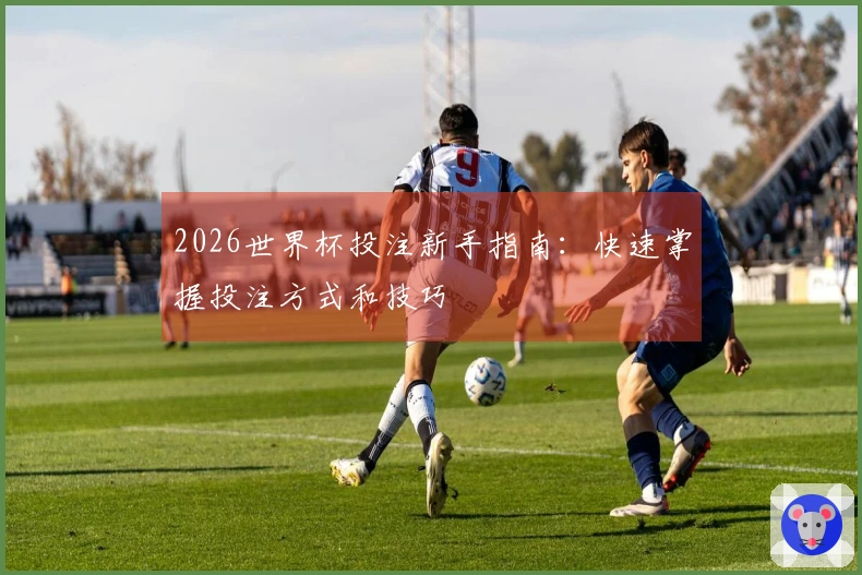 2026世界杯投注新手指南：快速掌握投注方式和技巧