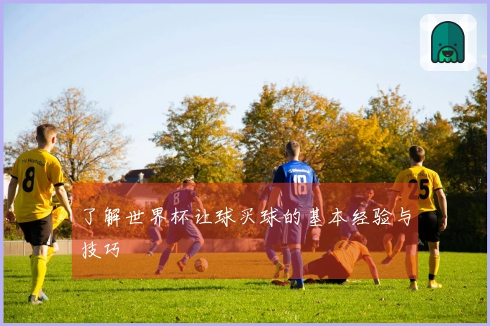 了解世界杯让球买球的基本经验与技巧