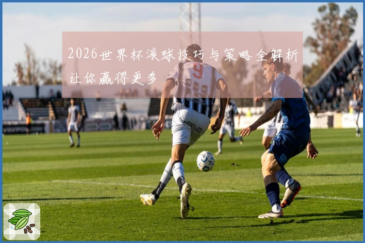 2026世界杯滚球技巧与策略全解析让你赢得更多