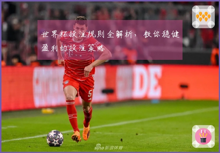 世界杯投注规则全解析，教你稳健盈利的投注策略