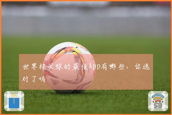 世界杯买球的最佳App有哪些,你选对了吗