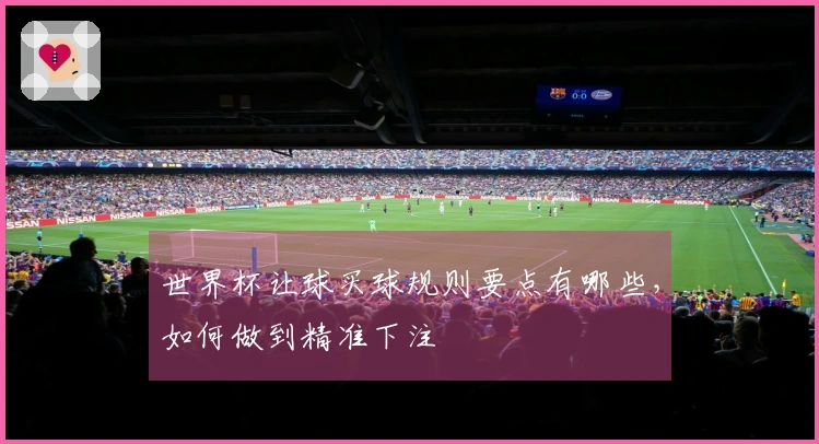 世界杯让球买球规则要点有哪些,如何做到精准下注