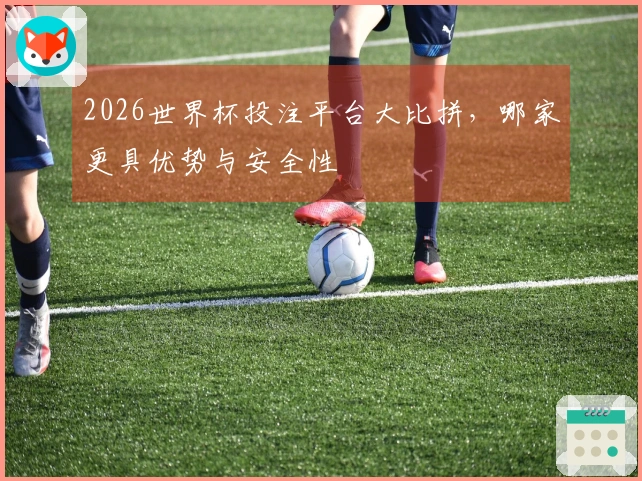 2026世界杯投注平台大比拼，哪家更具优势与安全性