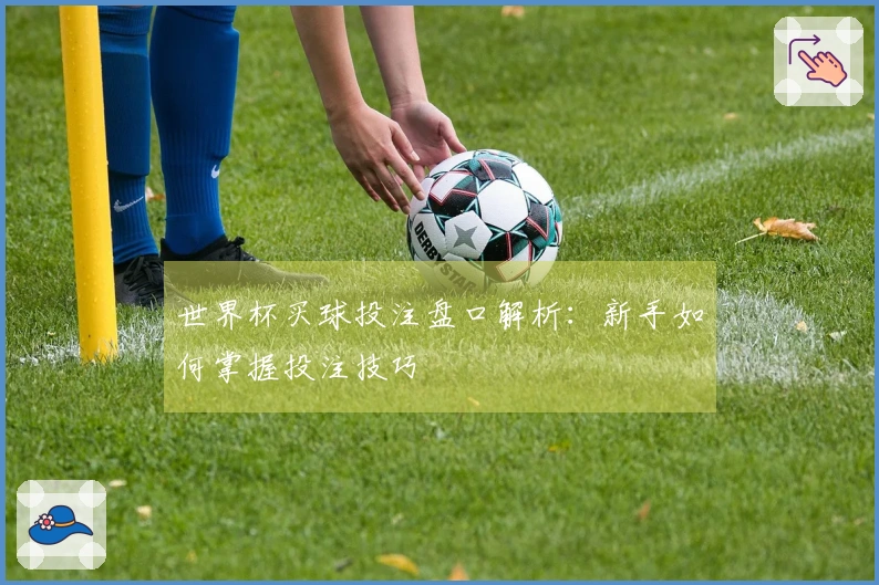 世界杯买球投注盘口解析：新手如何掌握投注技巧