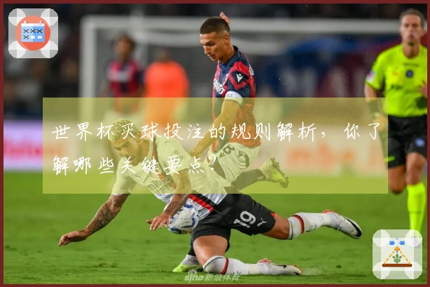世界杯买球投注的规则解析，你了解哪些关键要点？