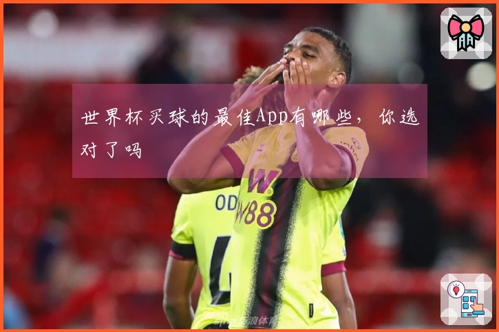 世界杯买球的最佳App有哪些，你选对了吗