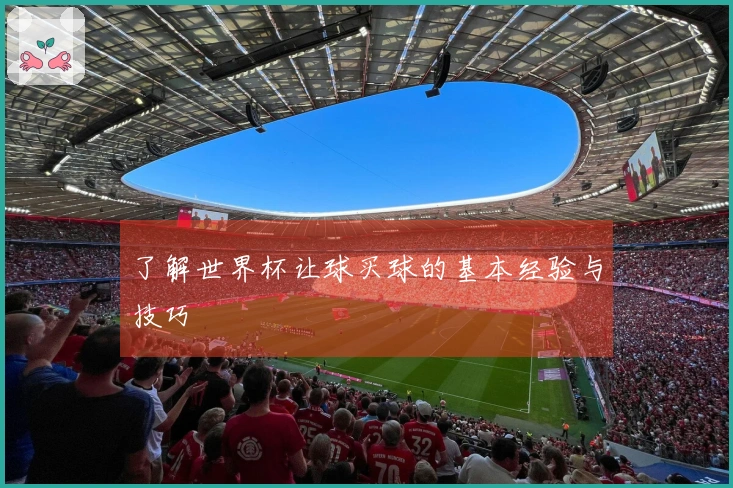 了解世界杯让球买球的基本经验与技巧