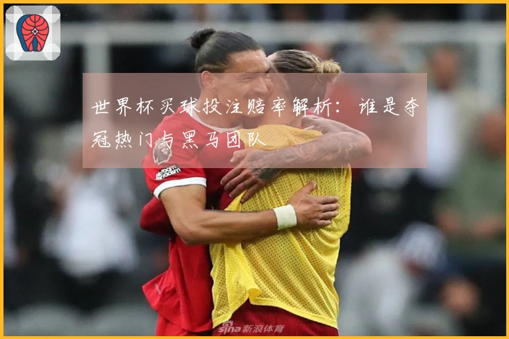 世界杯买球投注赔率解析：谁是夺冠热门与黑马团队