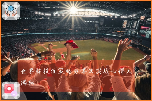 世界杯投注策略分享及实战心得大揭秘