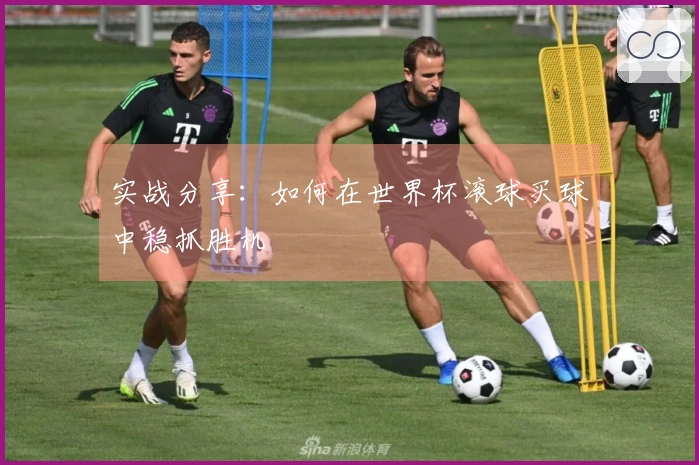 实战分享：如何在世界杯滚球买球中稳抓胜机