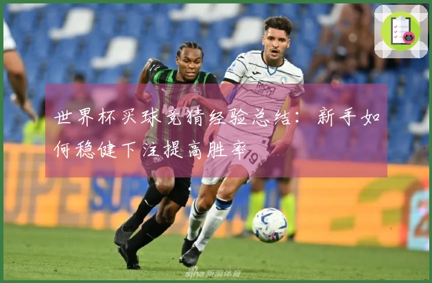 世界杯买球竞猜经验总结：新手如何稳健下注提高胜率