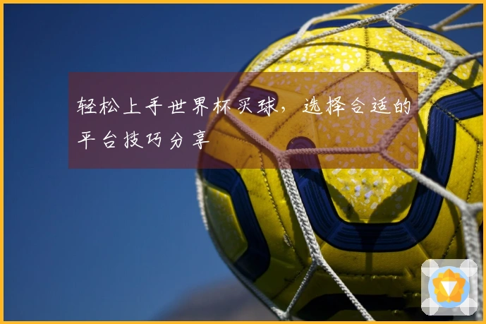 轻松上手世界杯买球，选择合适的平台技巧分享