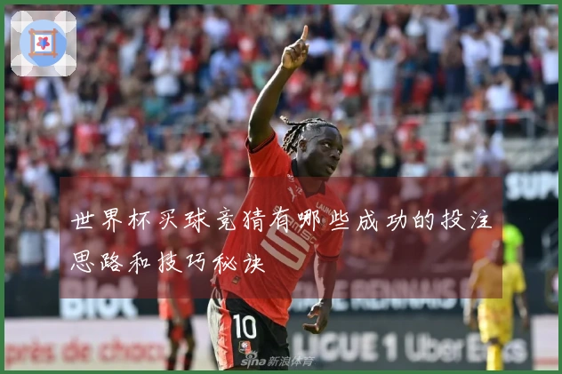 世界杯买球竞猜有哪些成功的投注思路和技巧秘诀