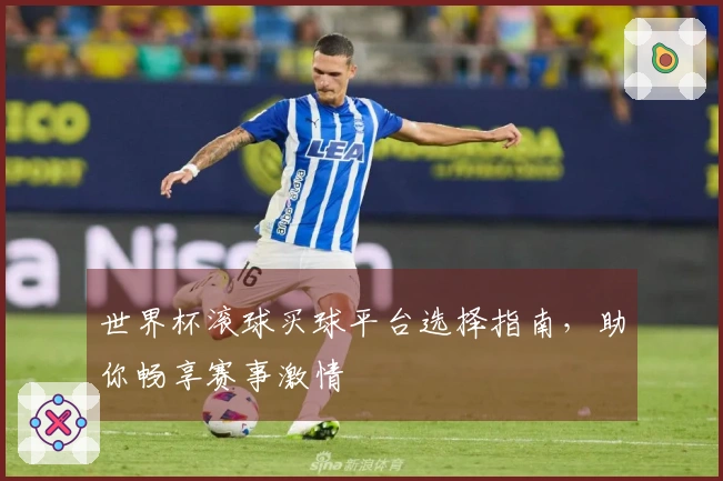 世界杯滚球买球平台选择指南，助你畅享赛事激情