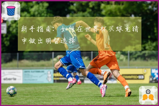 新手指南：如何在世界杯买球竞猜中做出明智选择