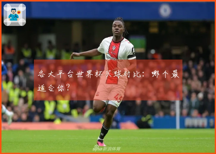 各大平台世界杯买球对比：哪个最适合你？
