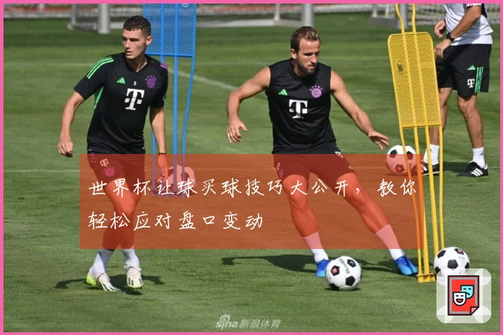 世界杯让球买球技巧大公开，教你轻松应对盘口变动