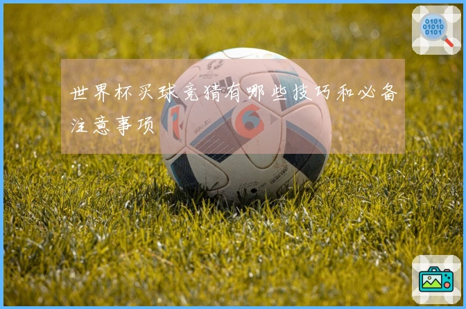 世界杯买球竞猜有哪些技巧和必备注意事项
