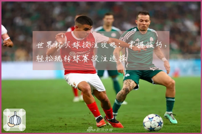 世界杯买球投注攻略：掌握技巧，轻松玩转球赛投注选择