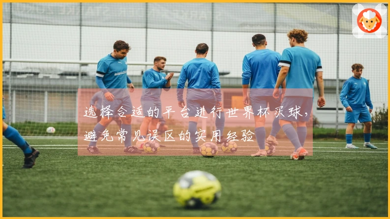选择合适的平台进行世界杯买球，避免常见误区的实用经验
